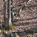 Elizabeth Goad Photo 15