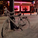 Joy Korte Photo 3