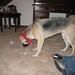 Becky Olmstead Photo 23