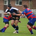 David Priddy Photo 16