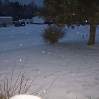 Sue Call Photo 3