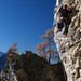 Erik Wallis Photo 7