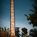 Aaron Carlson Photo 26