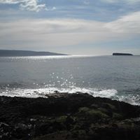 Ronald Nicholson Photo 19