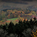 Douglas Lang Photo 8