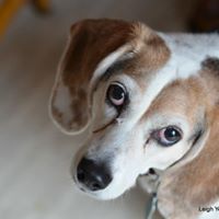Sandy Mcclintock Photo 6