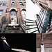 Sarah Farmer Photo 16