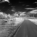 Don Winters Photo 17