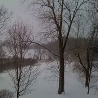 Vickie Bridges Photo 15