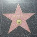 Star Lee Photo 17