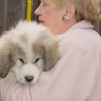 Nancy Schreiber Photo 6