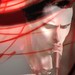 James Bellamy Photo 30