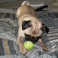 Tabitha James Photo 7