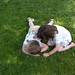 Beverly Elliott Photo 14