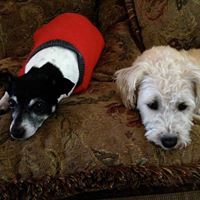 Julie Rawls Photo 27