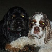 Ellen Mitchell Photo 10