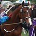 Carla Gaines Photo 21