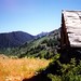 Perry Willard Photo 9