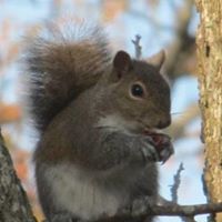 Margaret Gibbs Photo 28