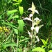 Kevin Plant Photo 18