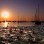 John Gress Photo 15