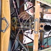 Rod Freeman Photo 11