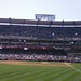 Angel Fields Photo 42