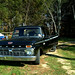 Pete Ford Photo 32