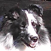 Judy Flanigan Photo 18