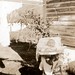 Kenneth Ray Photo 17