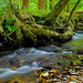 Frederick Owens Photo 20