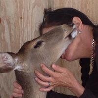 Melissa Sheffield Photo 41