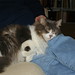 Heather Owen Photo 40
