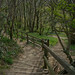 Glen Warren Photo 40