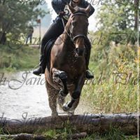 Debbie Enright Photo 11