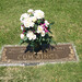 Barbara Cummings Photo 16