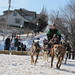 Jonathan Schechter Photo 25