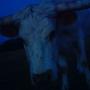 David Melton Photo 9