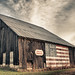 Mike Calvert Photo 33