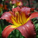 Leslie Gloyd Photo 14
