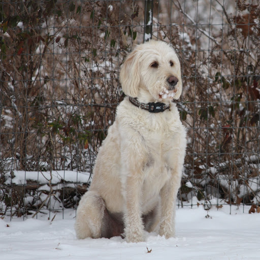 Julie Lutes Photo 19