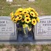 William Fortenberry Photo 9