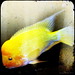 Elizabeth Fish Photo 8
