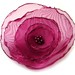 Ruby Flowers Photo 10
