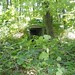 Nancy Heck Photo 17