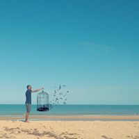 William Costa Photo 29