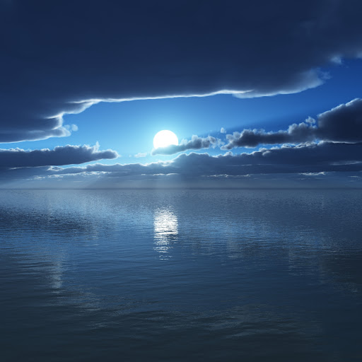 James Mccloud Photo 11