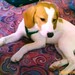 Marybeth Hunter Photo 6