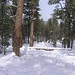 Jeffrey Greer Photo 18