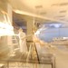 Judith Murphy Photo 13